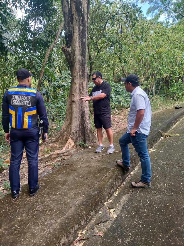 viber_image_2024-02-01_22-24-47-196